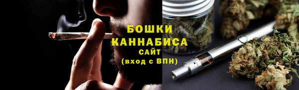 хмурый Бородино