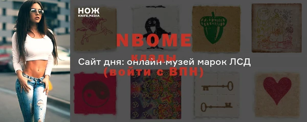 хмурый Бородино