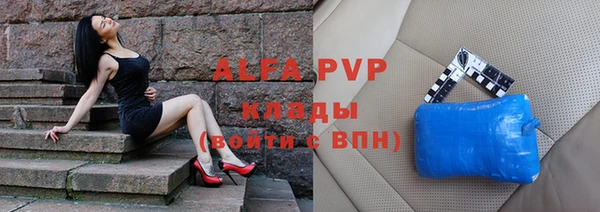 хмурый Бородино
