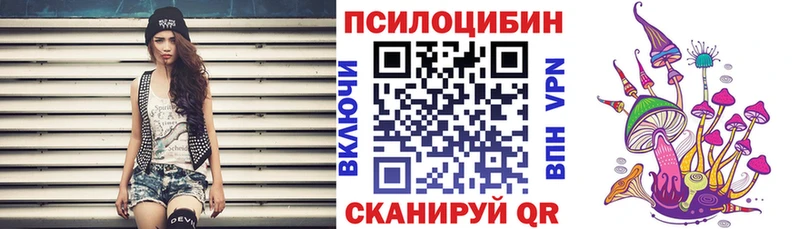 Купить  Котовск  Галлюциногенные грибы Magic Shrooms 